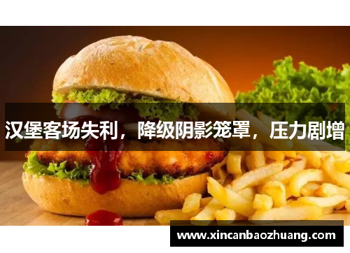 汉堡客场失利，降级阴影笼罩，压力剧增